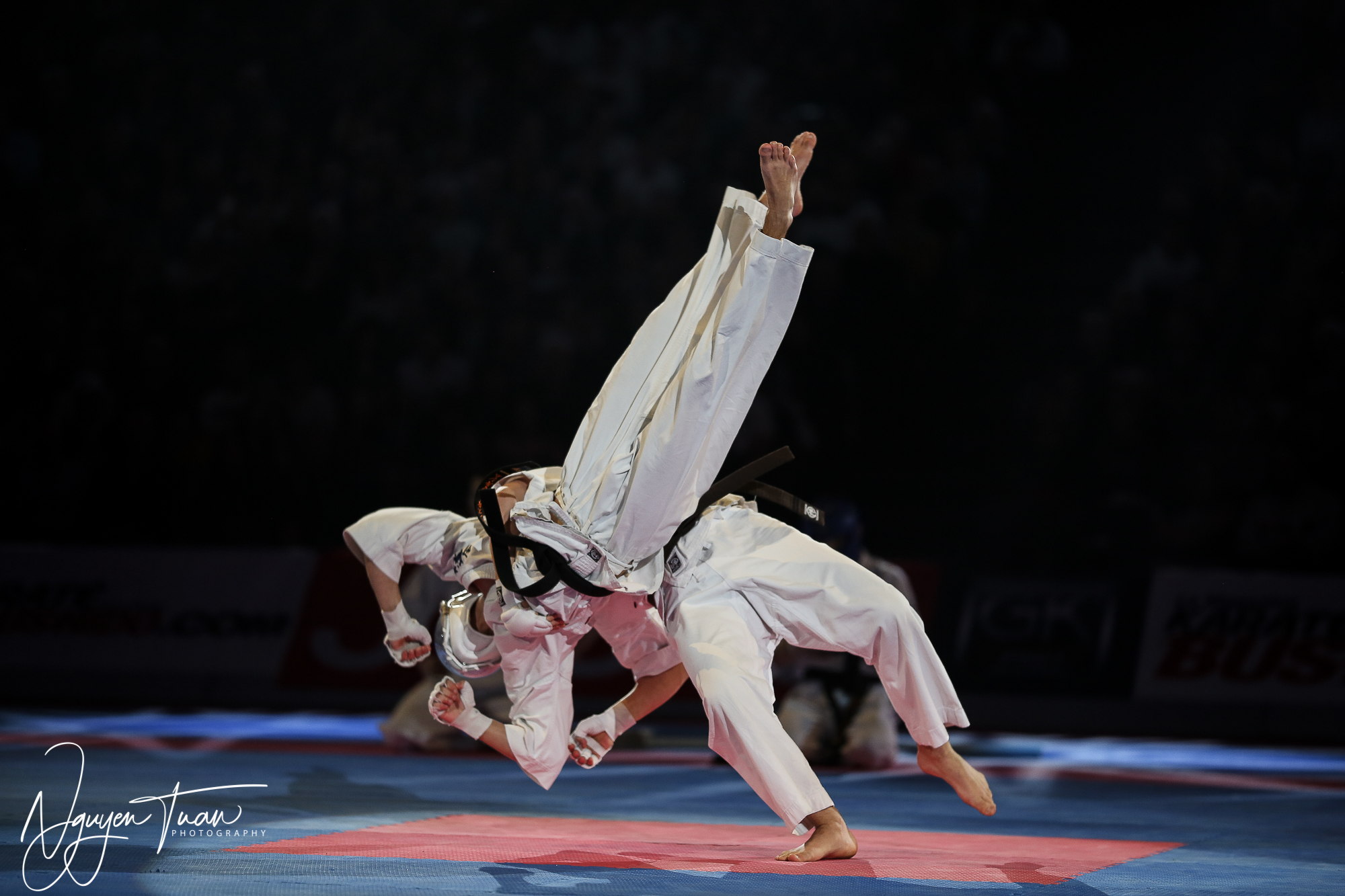 20190324 Festival des Arts Martiaux 3164